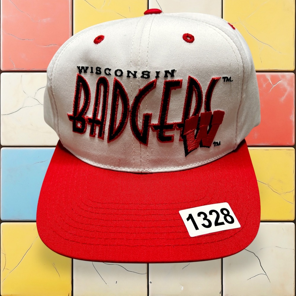 Vintage 90s Wisconsin Badgers Snapback Hat Embroidered NCAA Sports Signatures